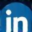 LinkedIn icon